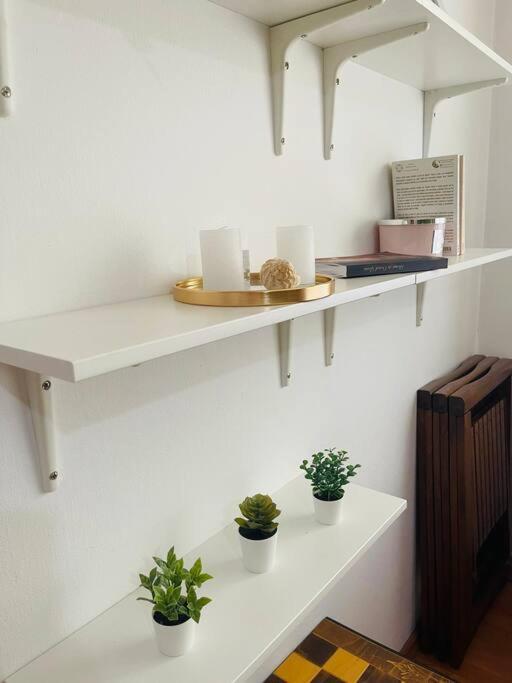 Chic Retreat Timisoara Apartment Bagian luar foto