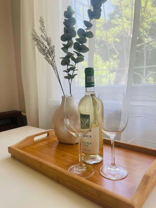 Chic Retreat Timisoara Apartment Bagian luar foto